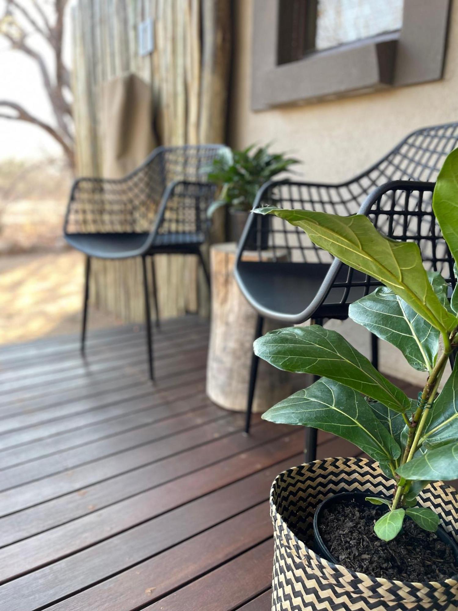 The Baobab Bush Lodge And Villa Ходспруит Екстериор снимка