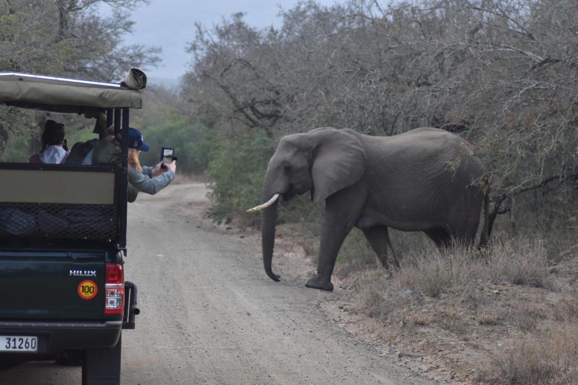 The Baobab Bush Lodge And Villa Ходспруит Екстериор снимка
