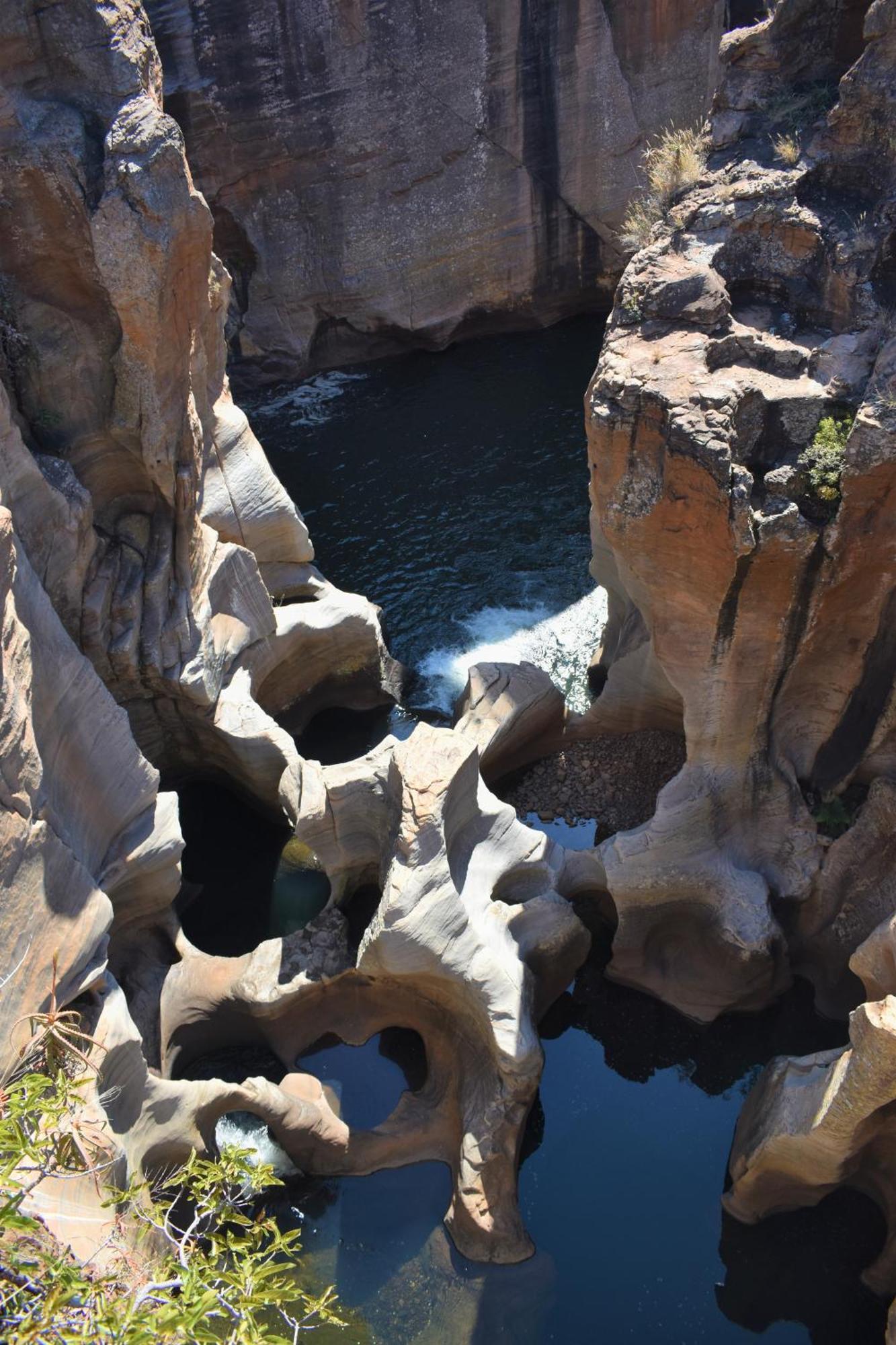 The Baobab Bush Lodge And Villa Ходспруит Екстериор снимка
